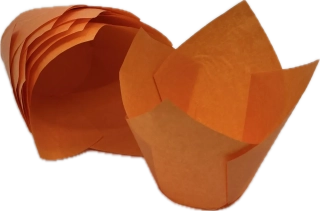 Tulip oranžový 5x15 cm 10ks/bal